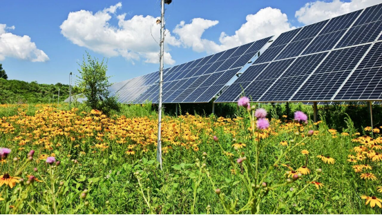 271761554361343565.png image.png